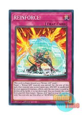 画像: 英語版 CYAC-EN075 REINFORCE! REINFORCE！ (ノーマル) 1st Edition