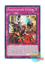 画像: 英語版 CYAC-EN076 Dinomorphia Intact ダイノルフィア・インタクト (ノーマル) 1st Edition