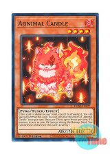 画像: 英語版 DUNE-EN027 Agnimal Candle 火天獣－キャンドル (ノーマル) 1st Edition