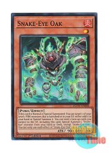 画像: 英語版 AGOV-EN008 Snake-Eye Oak スネークアイ・オーク (スーパーレア) 1st Edition