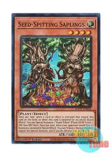 画像: 英語版 AGOV-EN022 Seed-Spitting Saplings オオヤツ・ツマムヒメ (スーパーレア) 1st Edition