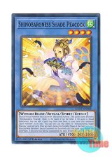 画像: 英語版 AGOV-EN028 Shinobaroness Shade Peacock 霊魂鳥影－姫孔雀 (ノーマル) 1st Edition