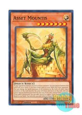 画像: 英語版 AGOV-EN083 Asset Mountis アセット・マウンティス (ノーマル) 1st Edition