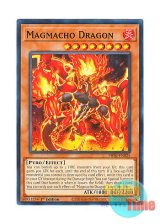 画像: 英語版 PHNI-EN025 Magmacho Dragon マグマッチョ・ドラゴン (ノーマル) 1st Edition