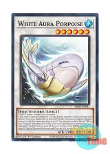 画像: 英語版 PHNI-EN041 White Aura Porpoise 白闘気砂滑 (ノーマル) 1st Edition