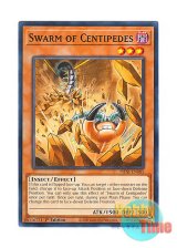 画像: 英語版 PHNI-EN085 Swarm of Centipedes ムカデの進軍 (ノーマル) 1st Edition