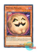 画像: 英語版 PHNI-EN098 Mystic Potato キラー・ポテト (ノーマル) 1st Edition