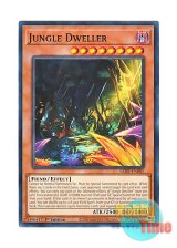 画像: 英語版 LEDE-EN085 Jungle Dweller 密林に潜む者 (ノーマル) 1st Edition