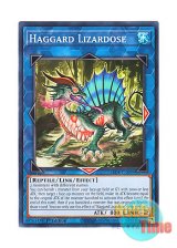 画像: 英語版 LEDE-EN089 Haggard Lizardose 盛悴のリザルドーズ (ノーマル) 1st Edition