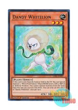 画像: 英語版 LEDE-EN097 Dandy Whitelion ダンディ・ホワイトライオン (スーパーレア) 1st Edition