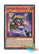 画像: 英語版 INFO-EN018 Ragnaraika Wicked Butterfly 蕾禍ノ姫邪眼 (スーパーレア) 1st Edition