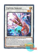 画像: 英語版 INFO-EN088 Zapper Shrimp 日本未発売 (ノーマル) 1st Edition