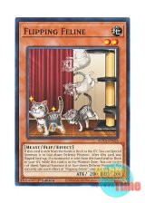 画像: 英語版 ROTA-EN026 Flipping Feline 回猫 (ノーマル) 1st Edition