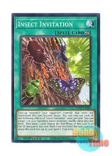 画像: 英語版 ROTA-EN083 Insect Invitation 日本未発売 (ノーマル) 1st Edition