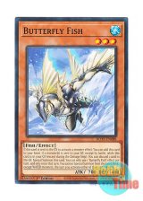 画像: 英語版 ROTA-EN088 Butterfly Fish 日本未発売 (ノーマル) 1st Edition