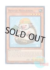 画像: 英語版 ROTA-EN097 Rescue Hedgehog レスキューヘッジホッグ (スーパーレア) 1st Edition