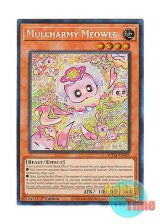 画像: 英語版 SUDA-EN025 Mulcharmy Meowls マルチャミー・ニャルス (シークレットレア) 1st Edition