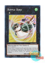 画像: 英語版 SUDA-EN088 Ripple Bird 日本未発売 (スーパーレア) 1st Edition