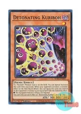 画像: 英語版 SUDA-EN097 Detonating Kuriboh 機雷化するクリボー (スーパーレア) 1st Edition