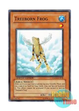 画像: 英語版 GLD2-EN010 Treeborn Frog 黄泉ガエル (ノーマル) Limited Edition