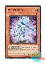 画像: 英語版 GLD3-EN036 Worm Hope ワーム・ホープ (ノーマル) Limited Edition