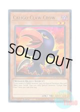 画像: 英語版 MAGO-EN102 Caligo Claw Crow クロクロークロウ (レア：ゴールド) 1st Edition