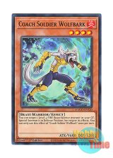 画像: 英語版 MAGO-EN120 Coach Soldier Wolfbark 熱血獣士ウルフバーク (レア：ゴールド) 1st Edition