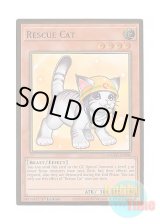 画像: 英語版 MGED-EN006 Rescue Cat【Alternate Art】 レスキューキャット【イラスト違い】 (プレミアムゴールドレア) 1st Edition