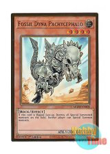 画像: 英語版 MGED-EN008 Fossil Dyna Pachycephalo フォッシル・ダイナ パキケファロ (プレミアムゴールドレア) 1st Edition