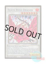 画像: 英語版 MGED-EN026 Black Rose Dragon ブラック・ローズ・ドラゴン (プレミアムゴールドレア) 1st Edition