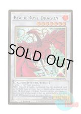 画像: 英語版 MGED-EN026 Black Rose Dragon【Alternate Art】 ブラック・ローズ・ドラゴン【イラスト違い】 (プレミアムゴールドレア) 1st Edition