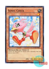 画像: 英語版 LC5D-EN001 Sonic Chick ロードランナー (ノーマル) 1st Edition