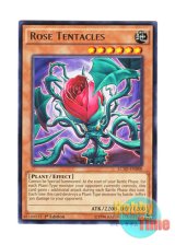 画像: 英語版 LC5D-EN088 Rose Tentacles ローズ・テンタクルス (レア) 1st Edition