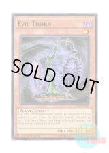 画像: 英語版 LC5D-EN090 Evil Thorn イービル・ソーン (ノーマル) 1st Edition