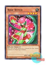 画像: 英語版 LC5D-EN097 Rose Witch ローズ・ウィッチ (ノーマル) 1st Edition