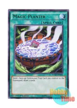 画像: 英語版 LC5D-EN104 Magic Planter マジック・プランター (ウルトラレア) 1st Edition