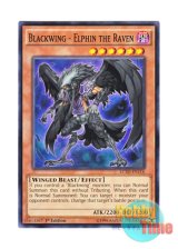 画像: 英語版 LC5D-EN116 Blackwing - Elphin the Raven BF－漆黒のエルフェン (ノーマル) 1st Edition