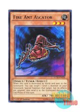 画像: 英語版 LC5D-EN224 Fire Ant Ascator 赤蟻アスカトル (レア) 1st Edition