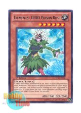 画像: 英語版 LCGX-EN036 Elemental HERO Poison Rose Ｅ・ＨＥＲＯ ブルーメ (レア) 1st Edition