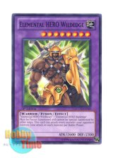 画像: 英語版 LCGX-EN049 Elemental HERO Wildedge Ｅ・ＨＥＲＯ ワイルドジャギーマン (ノーマル) 1st Edition