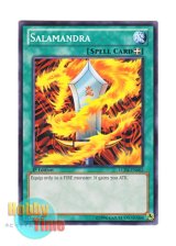 画像: 英語版 LCJW-EN062 Salamandra サラマンドラ (ノーマル) 1st Edition