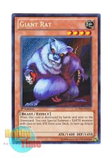 画像: 英語版 LCYW-EN232 Giant Rat 巨大ネズミ (シークレットレア) 1st Edition