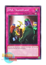 画像: 英語版 LCYW-EN292 DNA Transplant ＤＮＡ移植手術 (ノーマル) 1st Edition