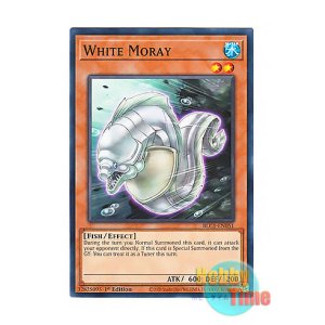 画像: 英語版 BLC1-EN051 White Moray ホワイト・モーレイ (ノーマル) 1st Edition