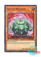 画像: 英語版 BLC1-EN065 Cactus Bouncer サボウ・クローザー (ノーマル) 1st Edition