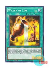 画像: 英語版 BLC1-EN077 Water of Life 命の水 (ノーマル) 1st Edition