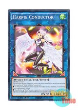 画像: 英語版 BLC1-EN093 Harpie Conductor ハーピィ・コンダクター (ノーマル) 1st Edition