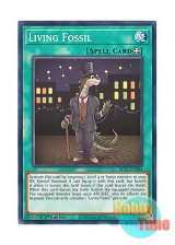 画像: 英語版 BLC1-EN104 Living Fossil リビング・フォッシル (ノーマル) 1st Edition