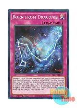 画像: 英語版 BLC1-EN106 Born from Draconis ボーン・フロム・ドラコニス (ノーマル) 1st Edition