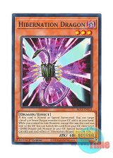 画像: 英語版 BLC1-EN113 Hibernation Dragon ハイバネーション・ドラゴン (ノーマル) 1st Edition